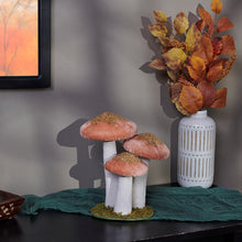 Load image into Gallery viewer, 118650 - Mushroom Trio (7434014097474)