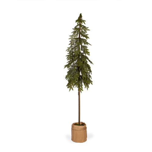 173cm Potted Nordic Pine Tree (7358159880258)