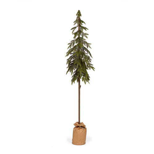 143cm Potted Nordic Pine Tree (7358159847490)