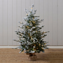 Load image into Gallery viewer, 3.5ft Potted Balsam Snow Tree (7346059280450)